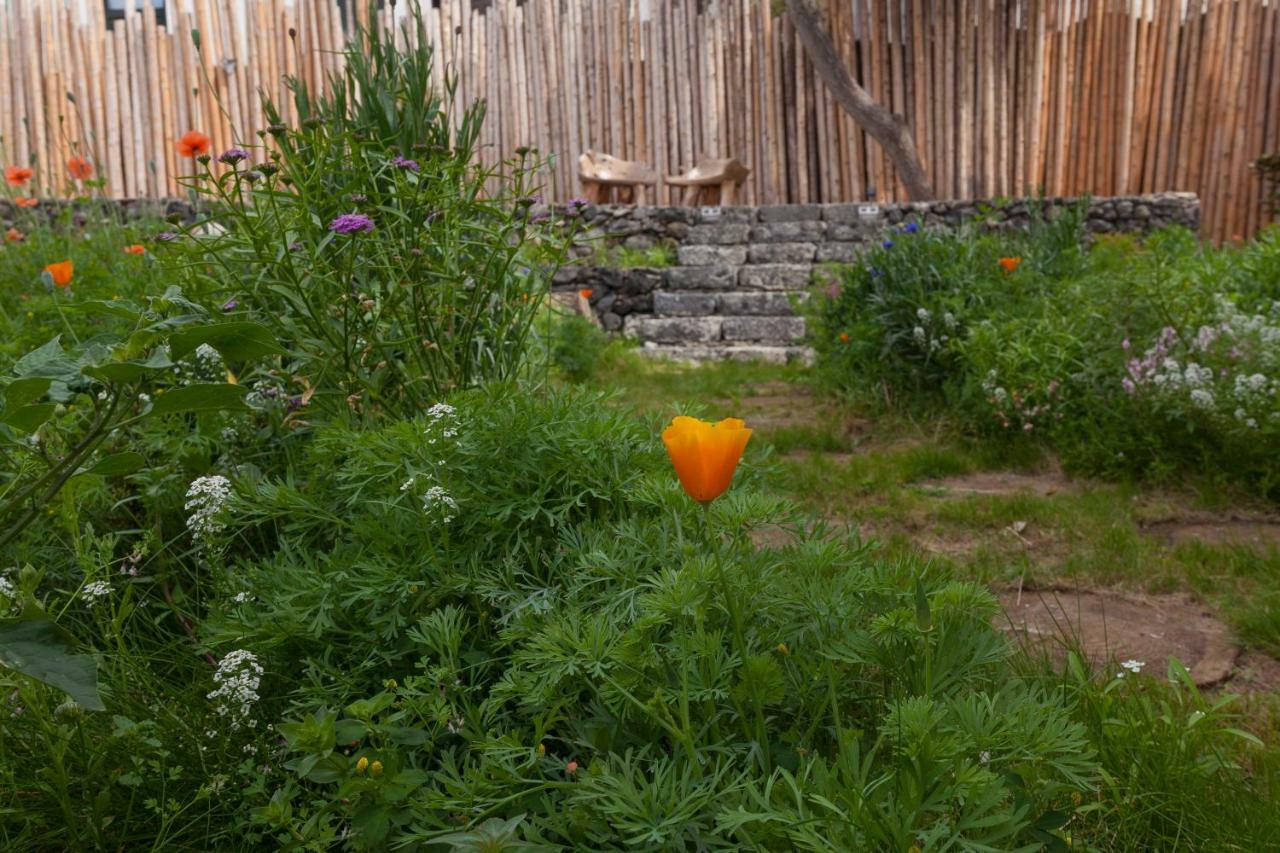 Graviana - Pedra Negra Charming House Διαμέρισμα Lagoa  Εξωτερικό φωτογραφία